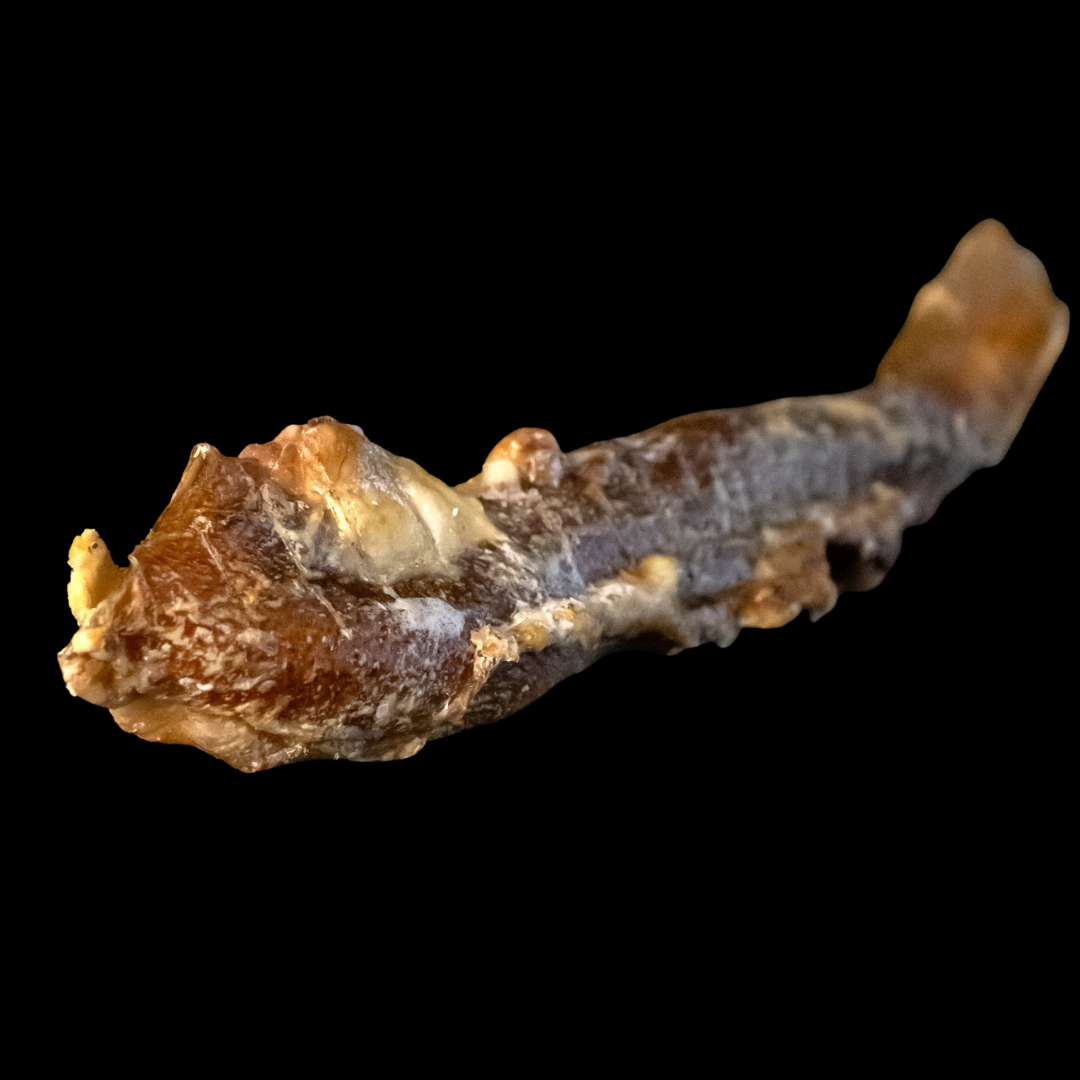 SnackNatur | Aorta de Ternera