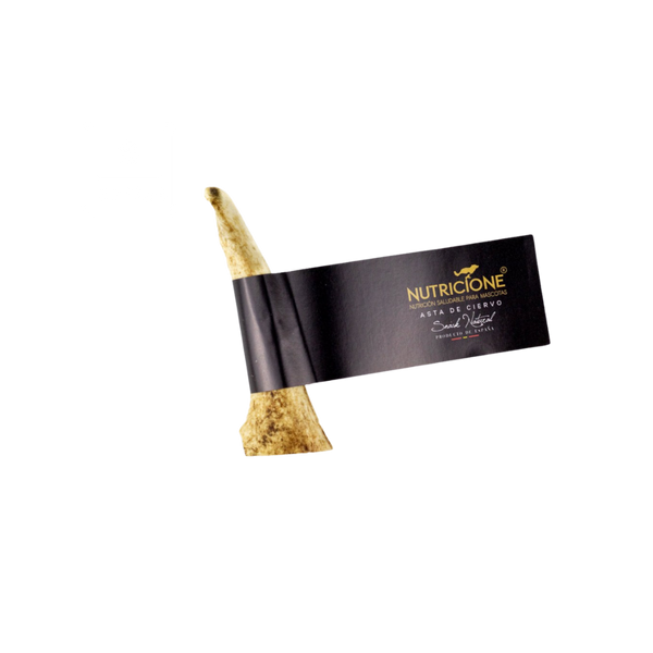 Asta de Ciervo S - Snack Natural
