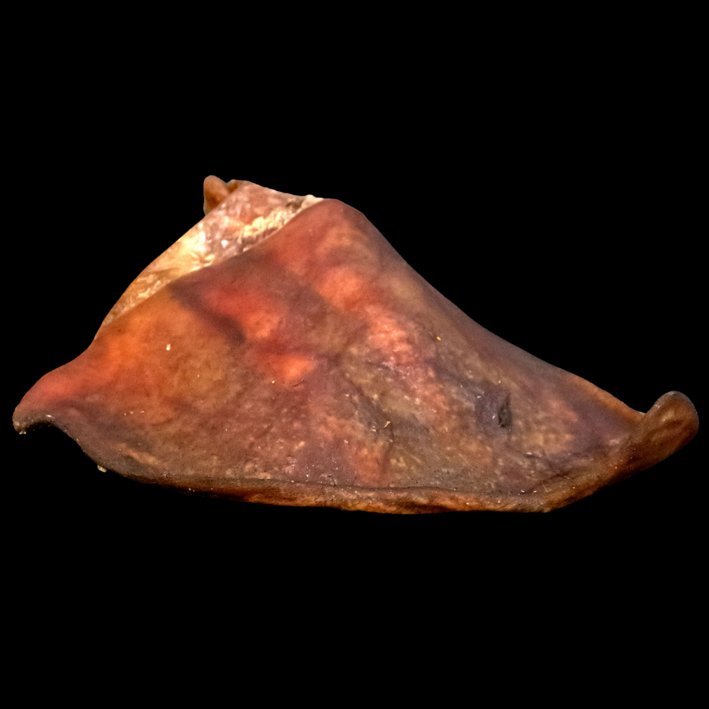 SnackNatur | Oreja de Cerdo