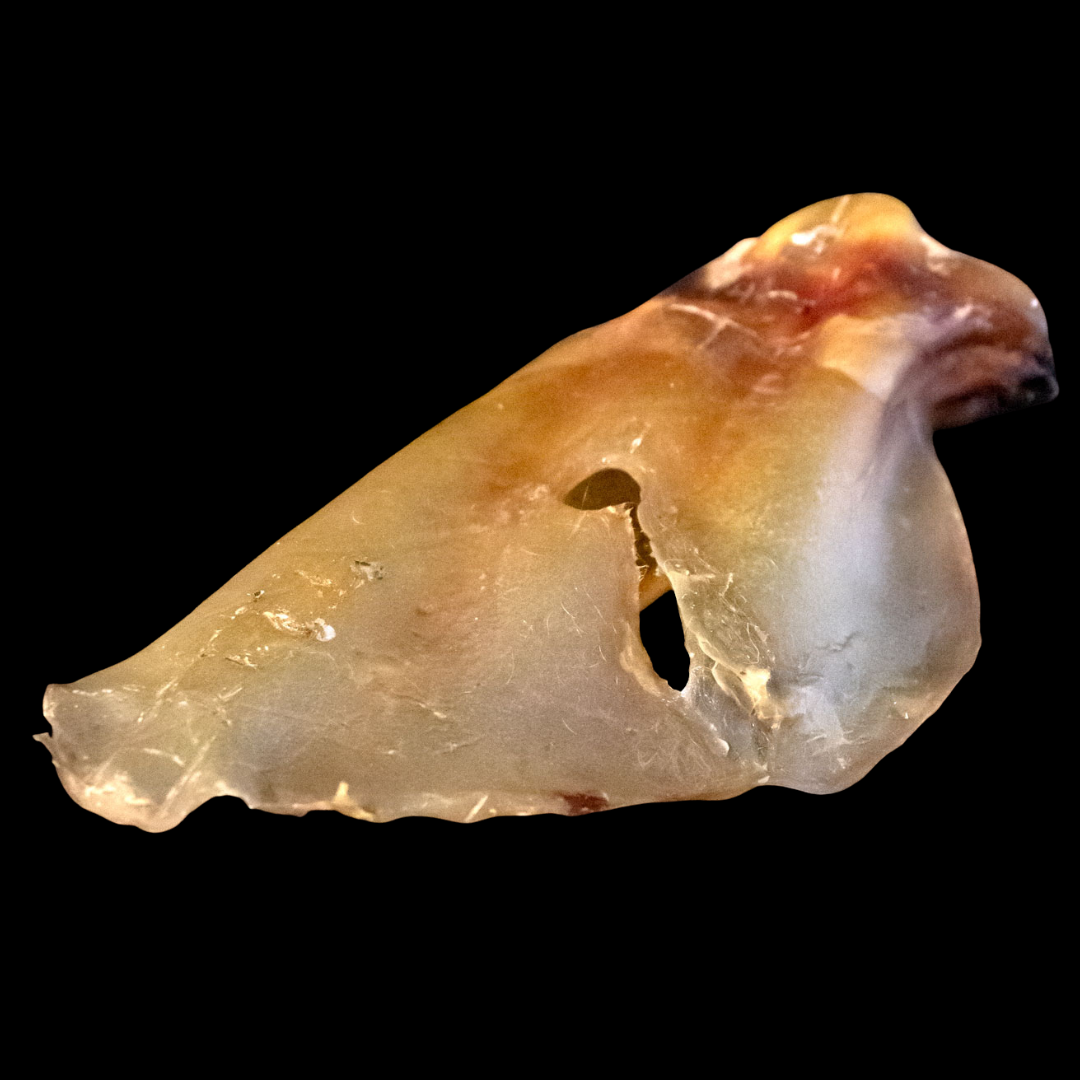 SnackNatur | Oreja de Ternera