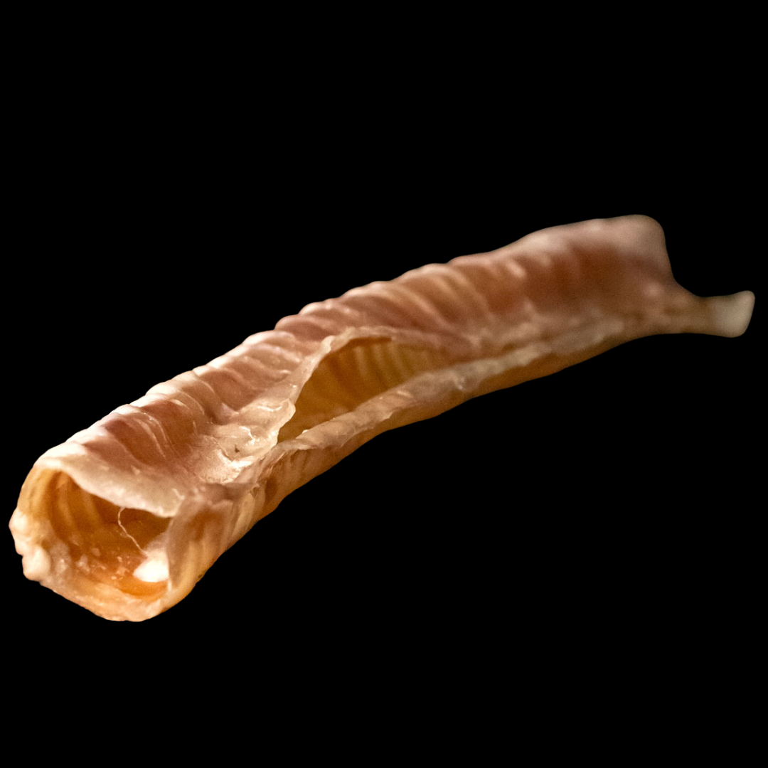SnackNatur | Tráquea de Ternera